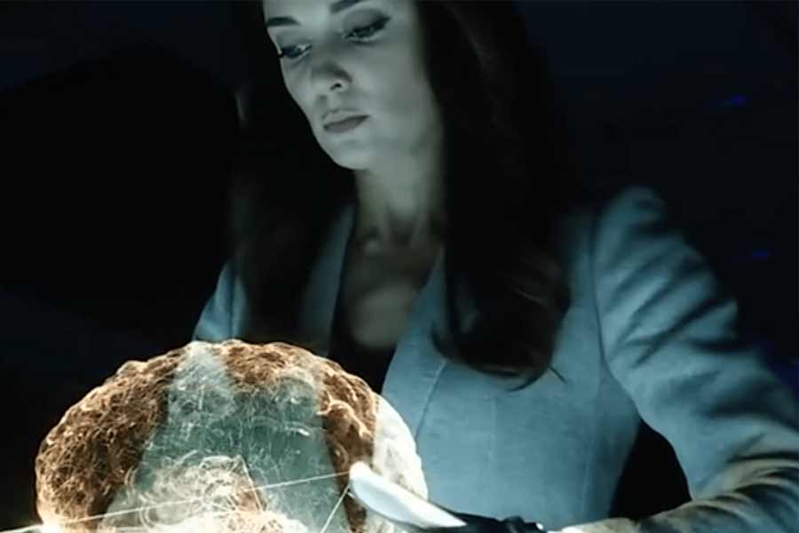 Is the Mind-Body Problem a Problem at All?