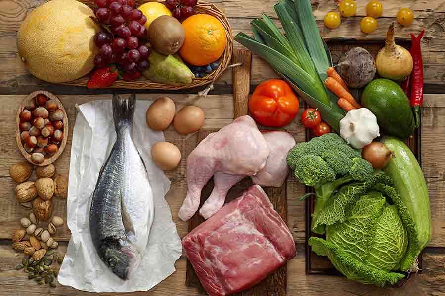 Animal Protein Versus Vegetable Protein