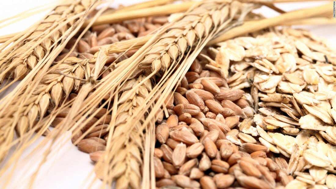 Probiotics - Digestive and Immune System Support