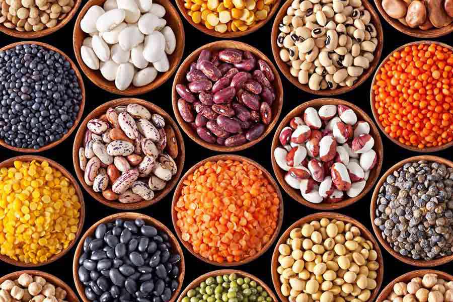 Get Pumped Safely With Plant Protein