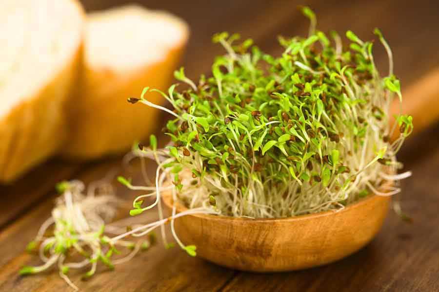 Sprouting Seeds: Health Starts In The Kitchen