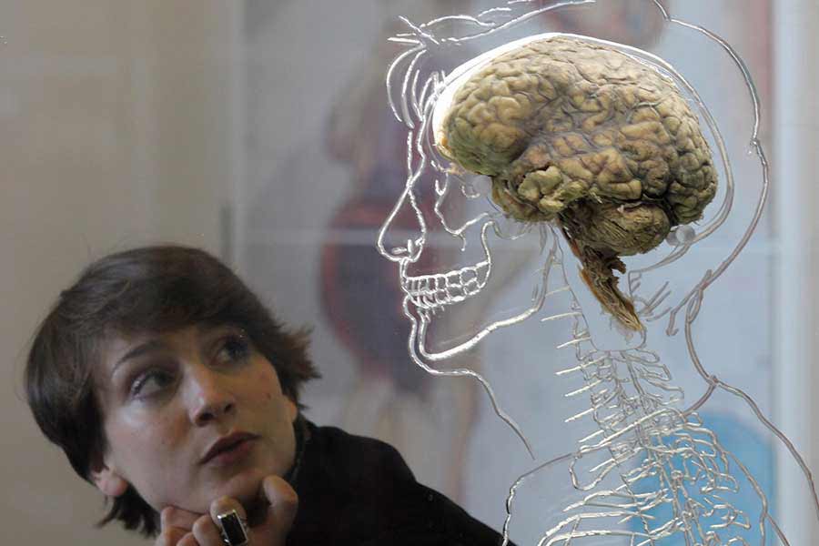 The Free Will Debate