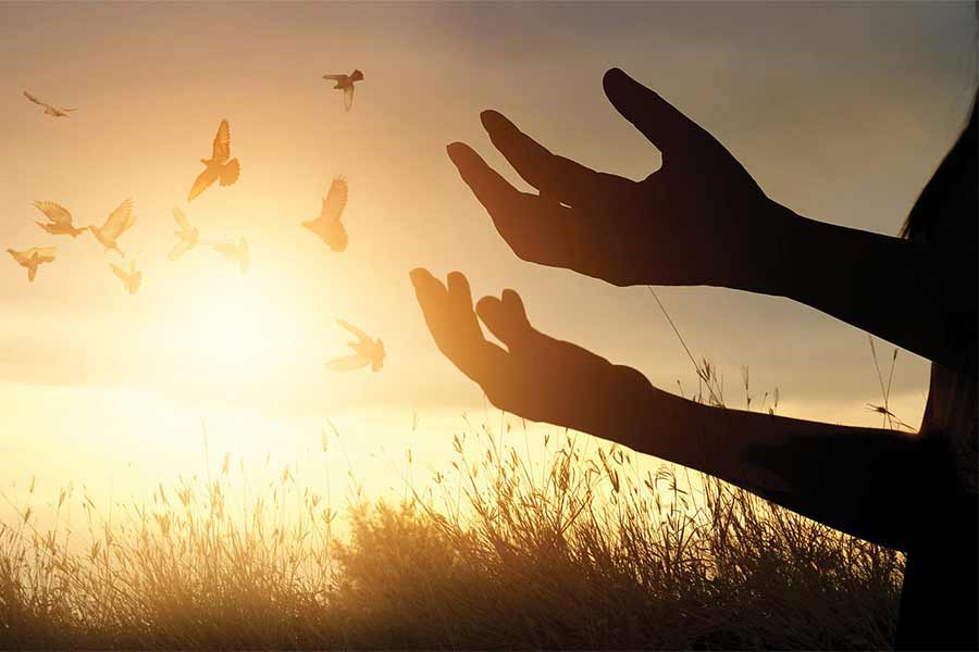 Exploring Why People Are Attracted to Religion