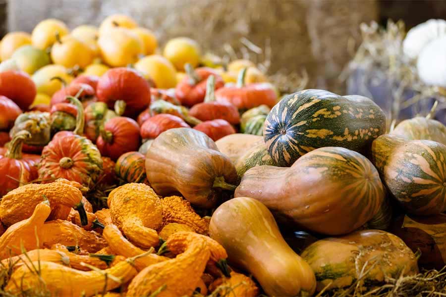 Five Reasons Seasonal Foods are Better for You