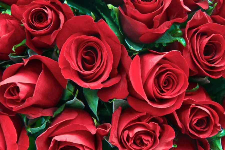 Six Tips for a Great Valentine's Day