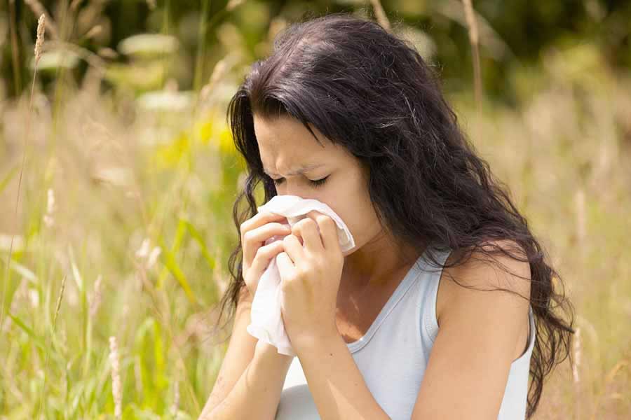 Does Diet Influence Seasonal Allergies?
