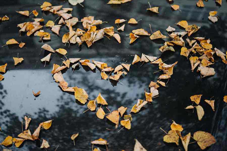 Selfish Unconditional Love: The Dance of Fairness