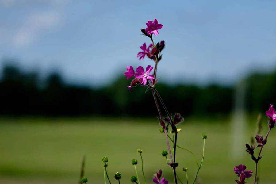 Making the World Kinder