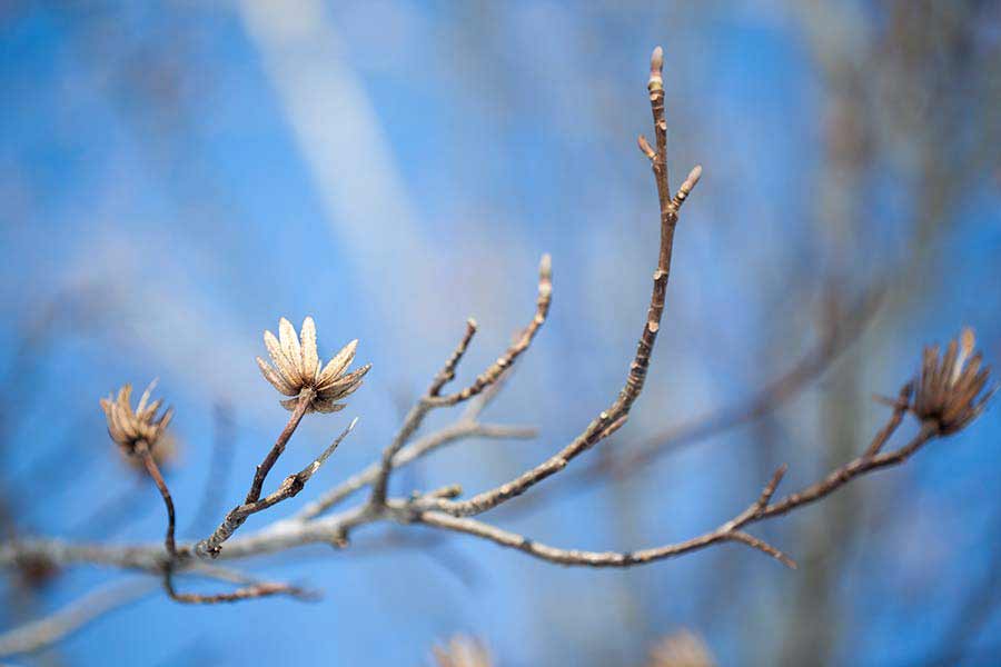 How to Create a Miracle