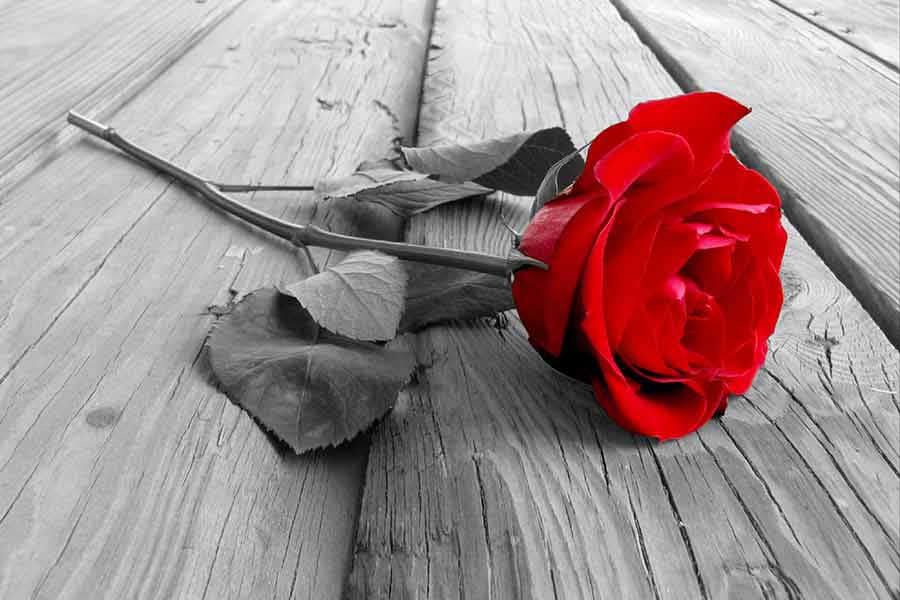 Five Steps to Being Heart Smart