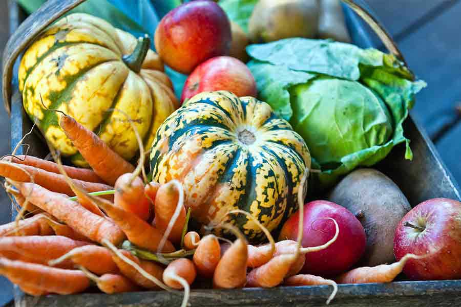 Warm Recipes for Fall and Winter