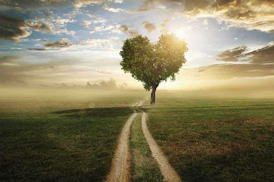 The Path to Healthy Love