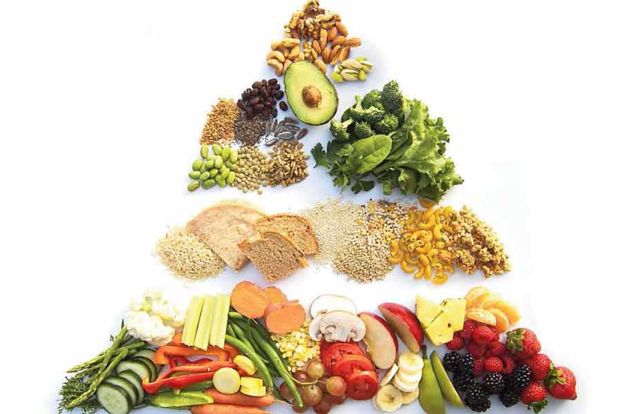 Humans Don't Need to Consume Animal Products to be Healthy