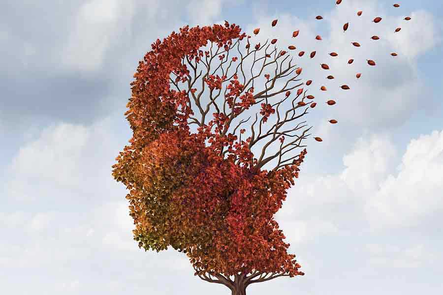 The Neurology of Awareness and Self: Part Two