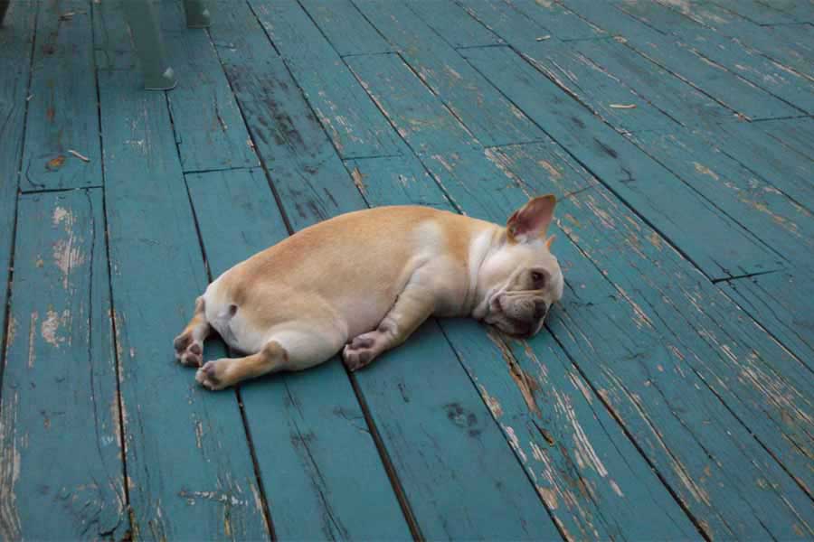 Learn to Deal with Exhausting People without Draining Your Energy