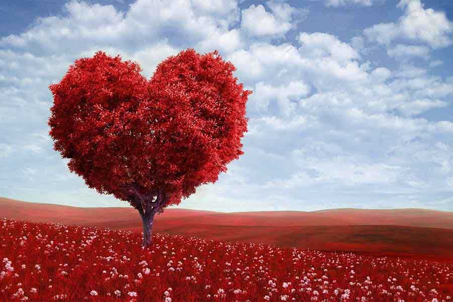 On Earth We Are All On Loan to Each Other