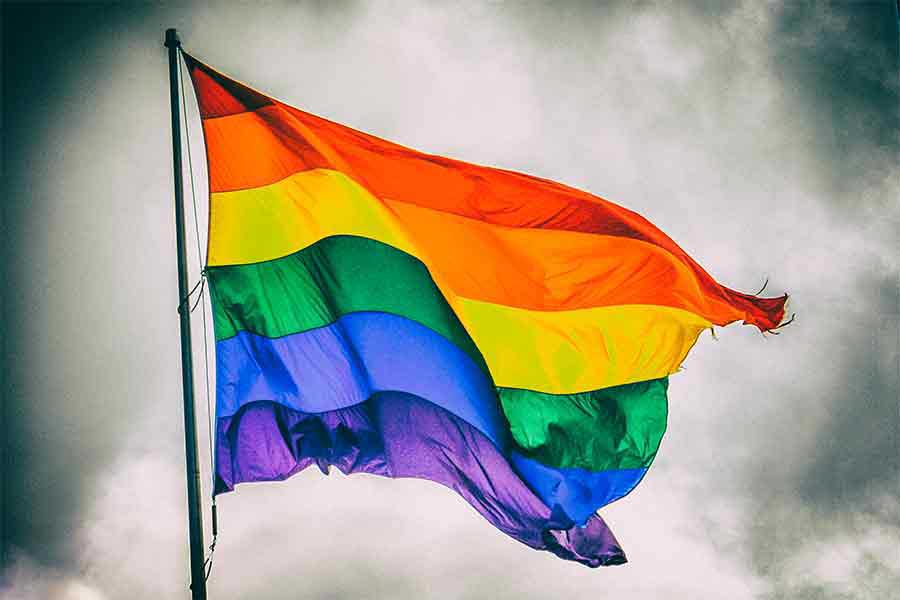 Pride and Shame