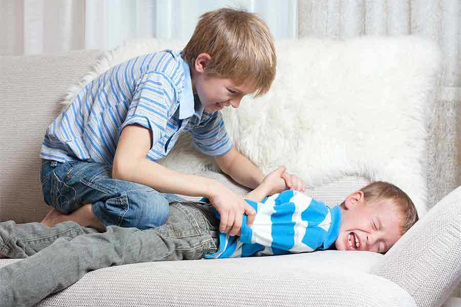 Sibling Bullying and Abuse
