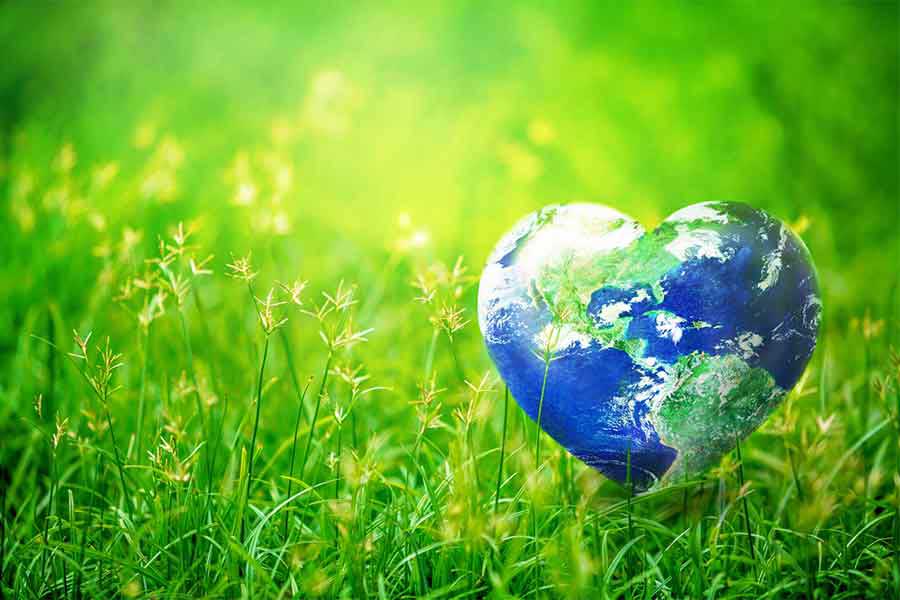 The Macrobiotic Vegan Diet: An Ecological Imperative