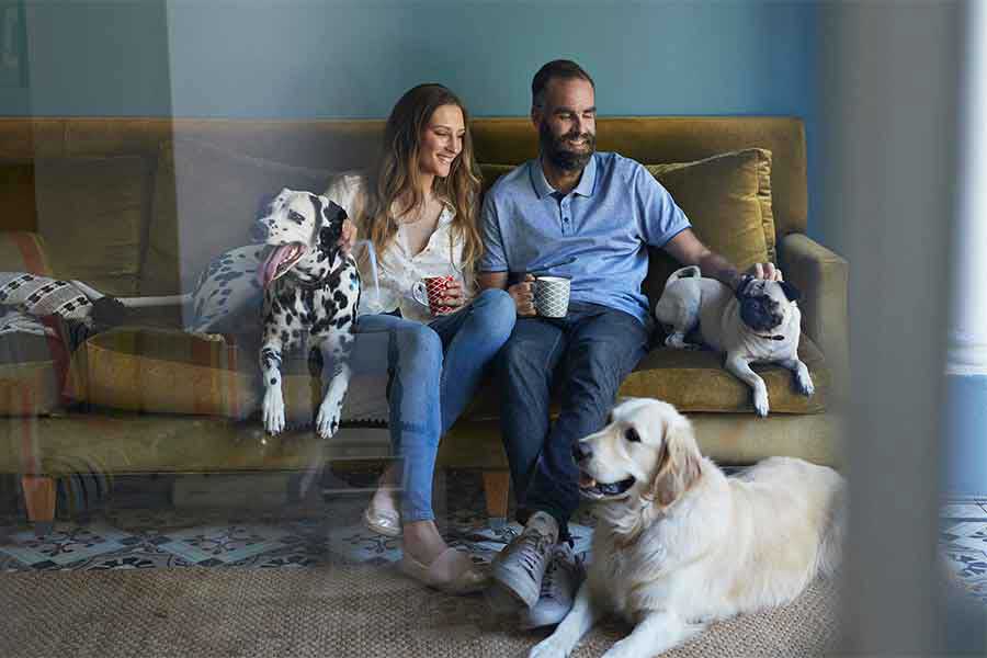 You and Your Partner: Both Teacher and Student