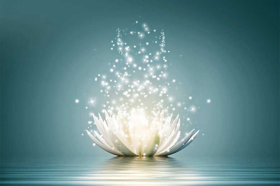 Awakening the Unexpected: 2020