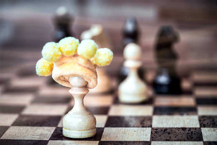 Self-Confidence and Leadership