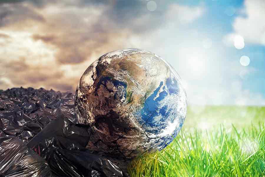 Food and Our Environment