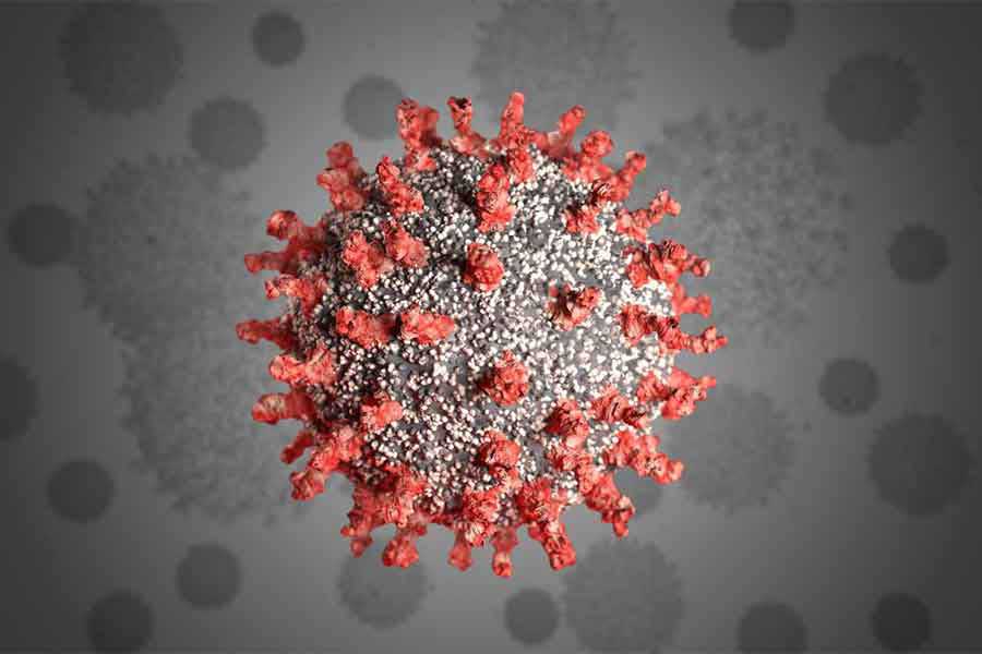 Coronavirus: Separating Fact from Fiction