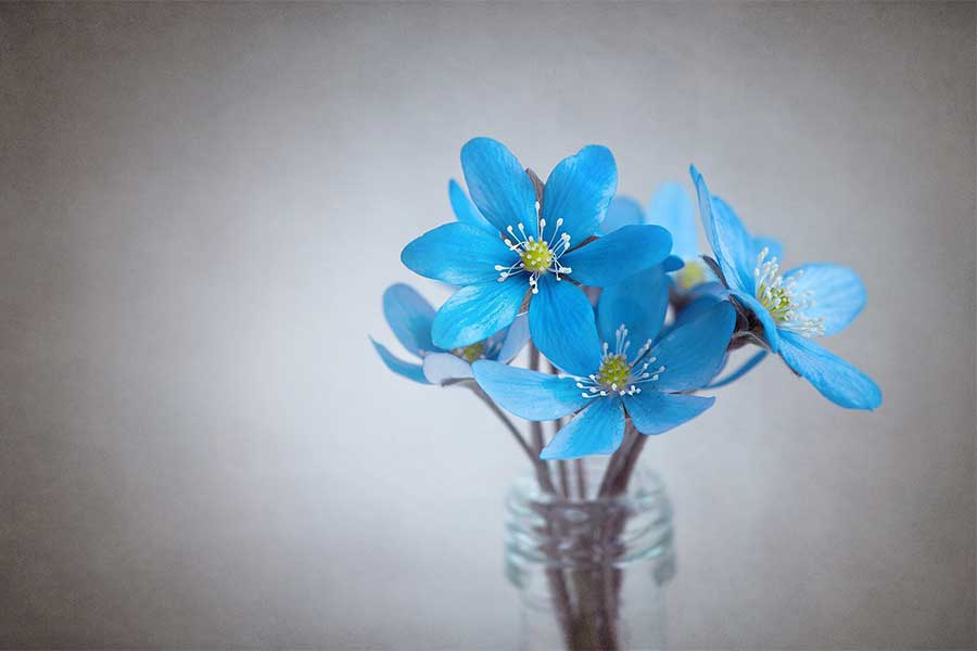 Practicing Gratitude in Vulnerable Times