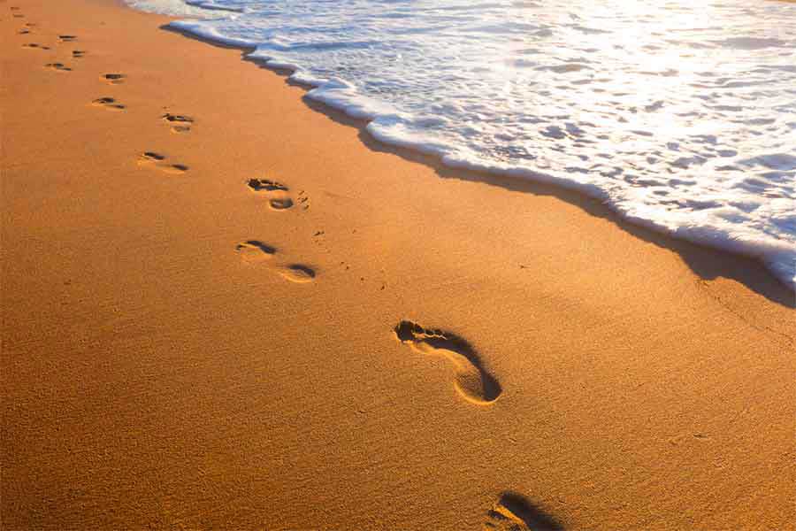 Considering a Tidy Life