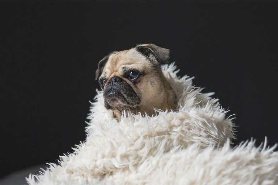 Stop Judging Your Feelings