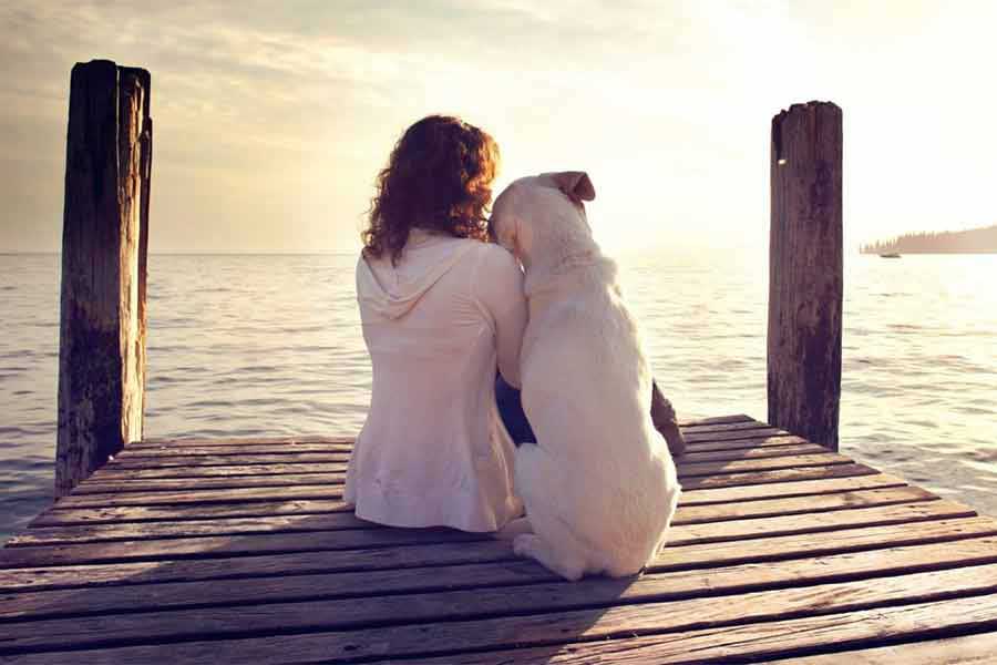 Practicing Gratitude While Sheltering at Home