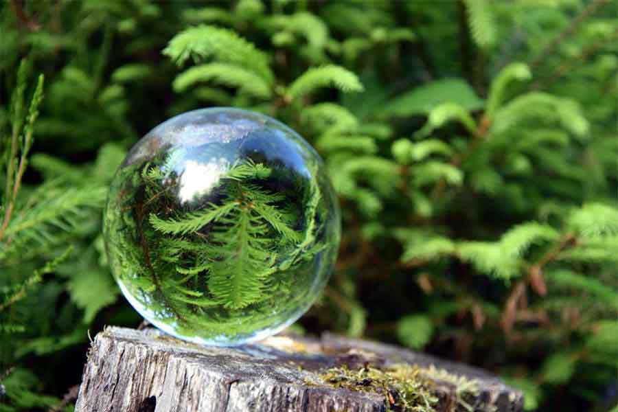 Becoming Friends with Simplification in 2020