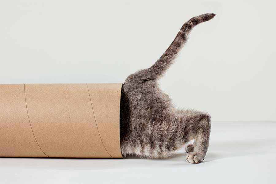 3 Fun Ways to Stay Curious During Times of Uncertainty