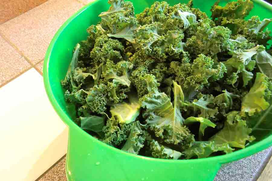 Consuming Bitter Greens for Liver Health