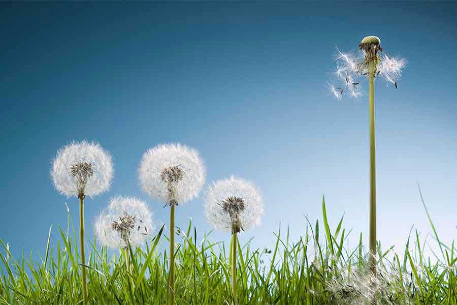 Leadership in the Time of a Crisis