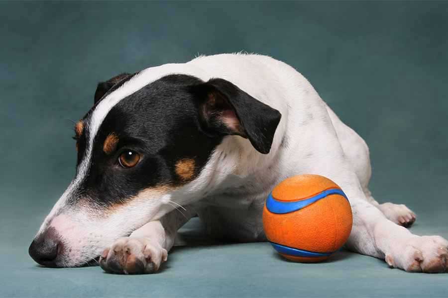 Bored? Here are 6 Tips for Jumpstarting Yourself