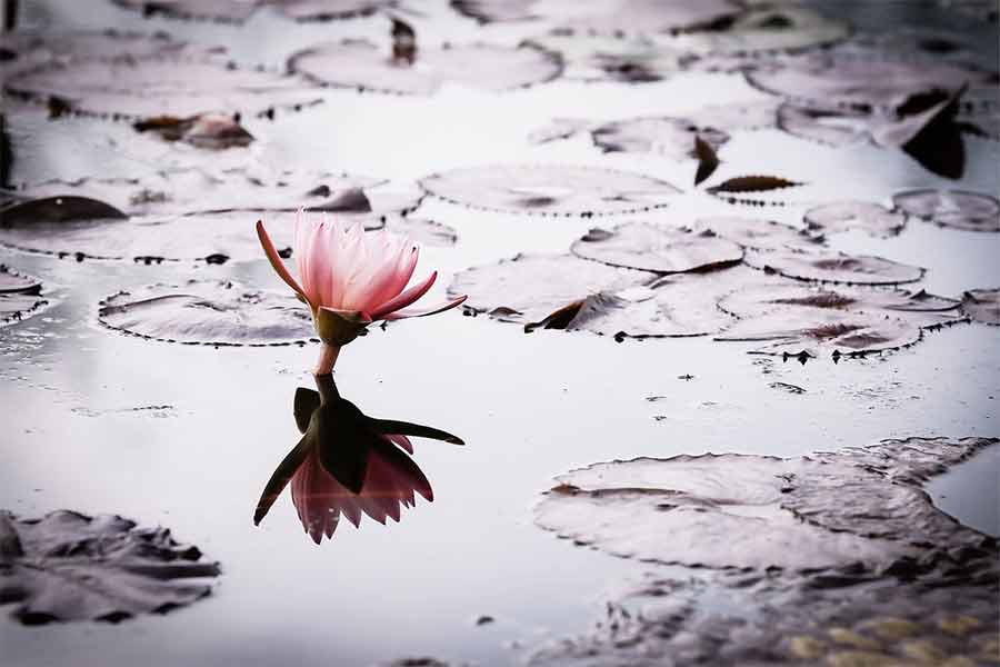 Healing Guilt: 7 Steps to Forgiving Yourself