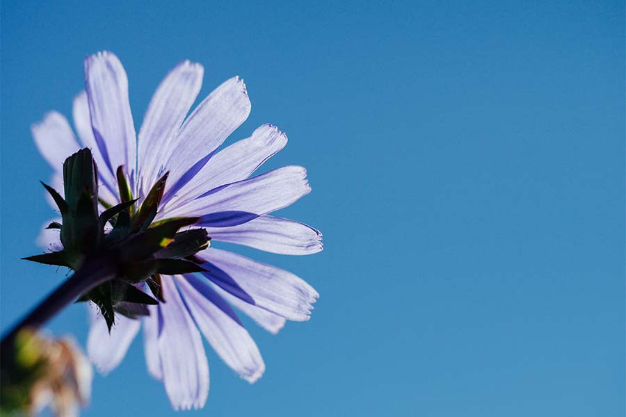 20 Ways to Quiet the Mind Without Actually Meditating