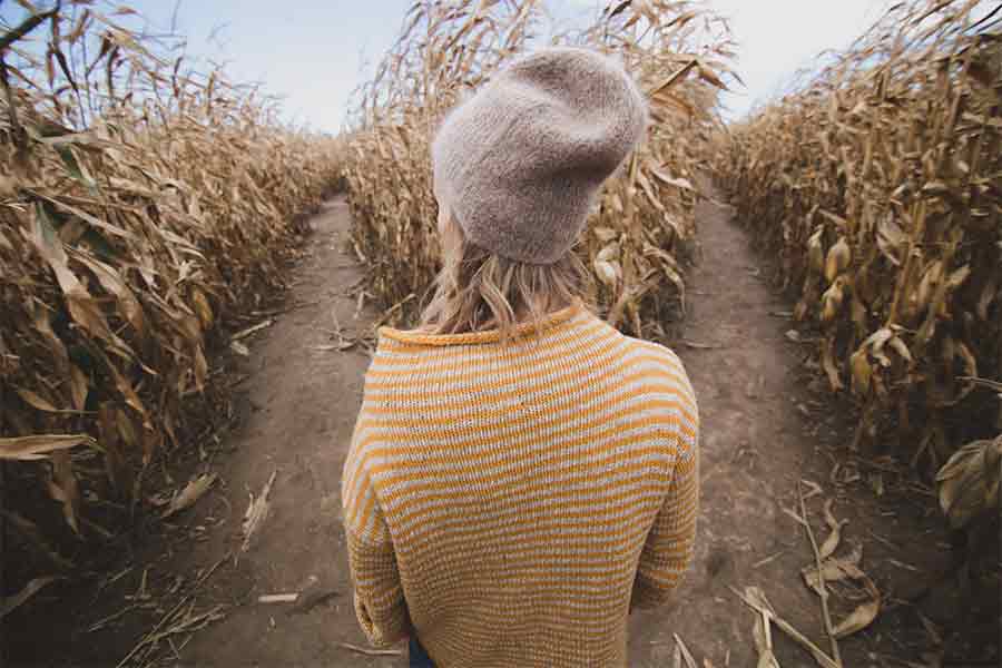 The Difference Between Intuition and Instinct