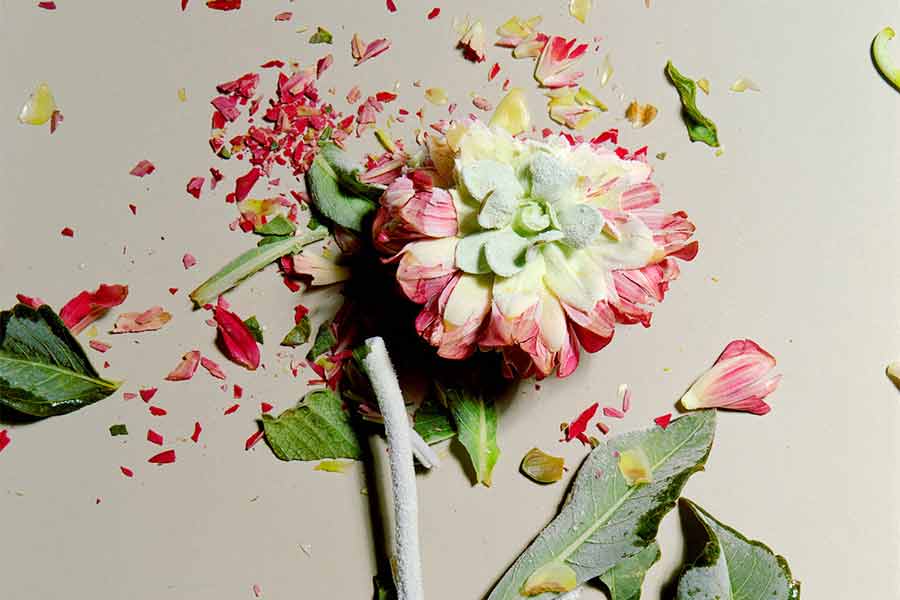 Sorrow and Loss During the Coronavirus Pandemic