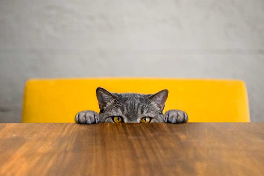 8 Ways to Change Self-Sabotaging Behaviors