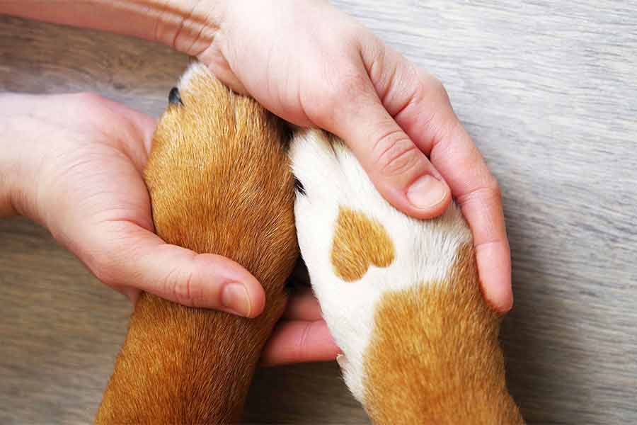 The Power of Being Yourself to Make Connections