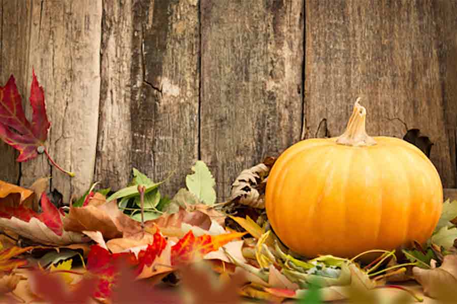 Health and Vitality for Autumn