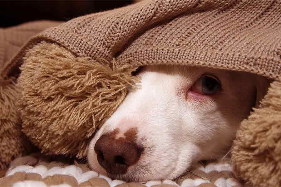 5 Steps to Put an End to Your Worries