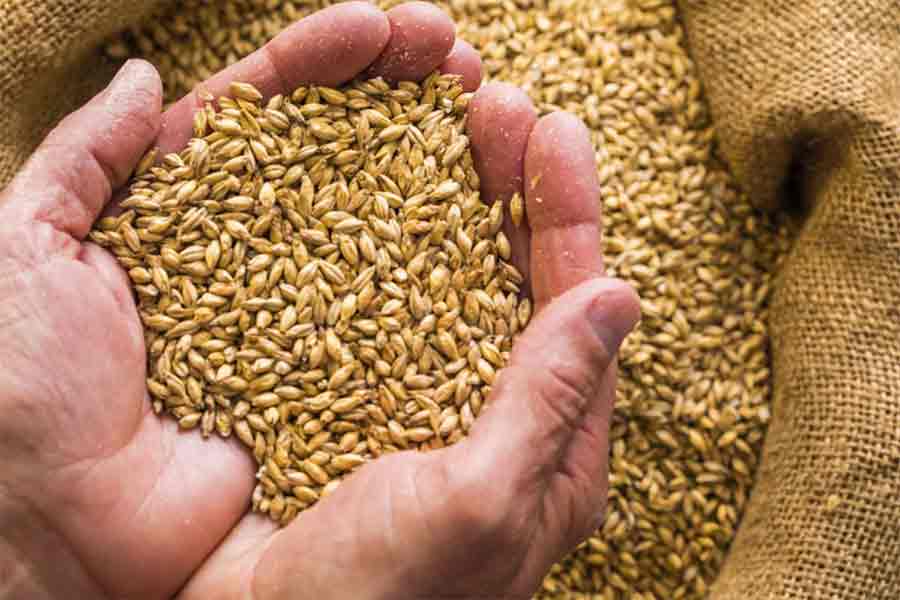 The Power of Whole Grains in Cooking