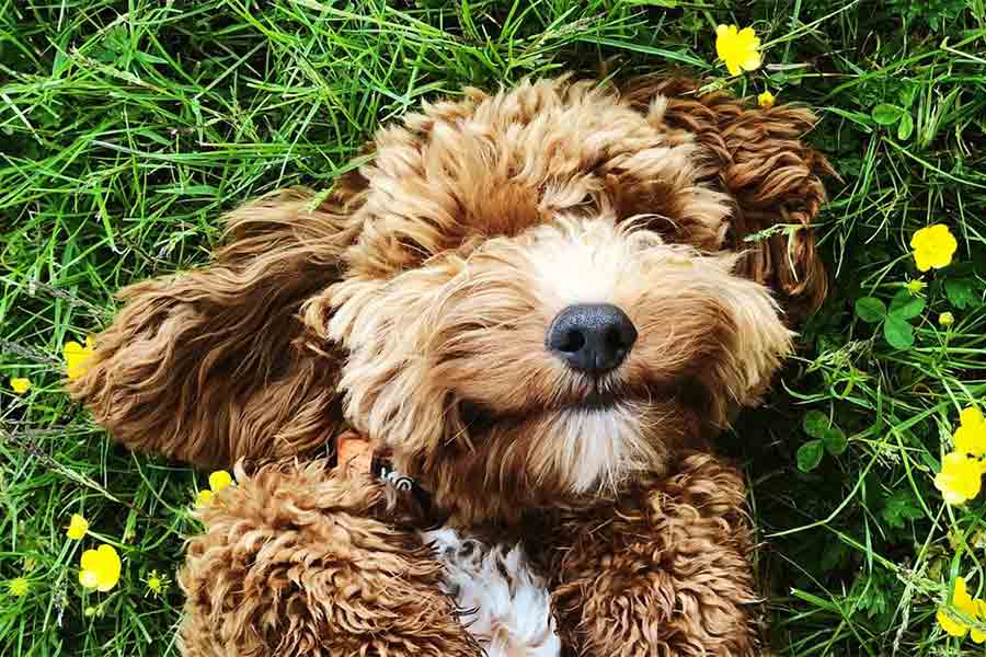 Realistic Positivity: The Key to Happiness